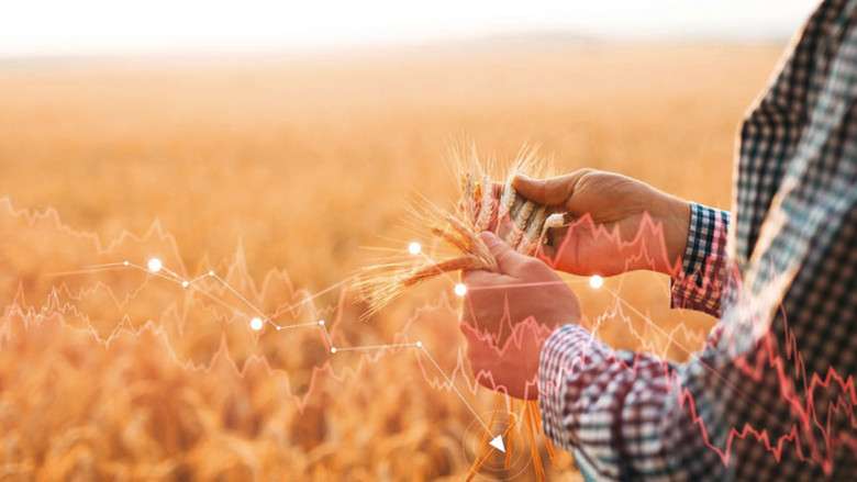 مبادرة تمويلية ضخمة من البنك الدولي لضمان استدامة الغذاء - مبادرة تمويلية ضخمة من البنك الدولي لضمان استدامة الغذاء - مبادرة تمويلية ضخمة من البنك الدولي لضمان استدامة الغذاء - مبادرة تمويلية ضخمة من البنك الدولي لضمان استدامة الغذاء - مبادرة تمويلية ضخمة من البنك الدولي لضمان استدامة الغذاء - مبادرة تمويلية ضخمة من البنك الدولي لضمان استدامة الغذاء - مبادرة تمويلية ضخمة من البنك الدولي لضمان استدامة الغذاء