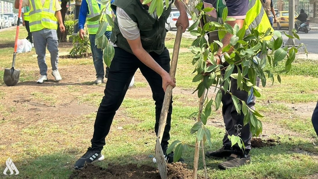 حملة وطنية لزراعة مليوني شجرة في العراق - حملة وطنية لزراعة مليوني شجرة في العراق - حملة وطنية لزراعة مليوني شجرة في العراق - حملة وطنية لزراعة مليوني شجرة في العراق - حملة وطنية لزراعة مليوني شجرة في العراق - National Campaign to Plant Two Million Trees in Iraq - National Campaign to Plant Two Million Trees in Iraq